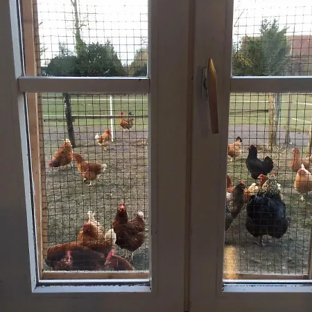 4 Impasse De La Bataillerie בית נופש *