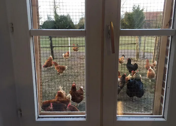 4 Impasse De La Bataillerie 펜션 *